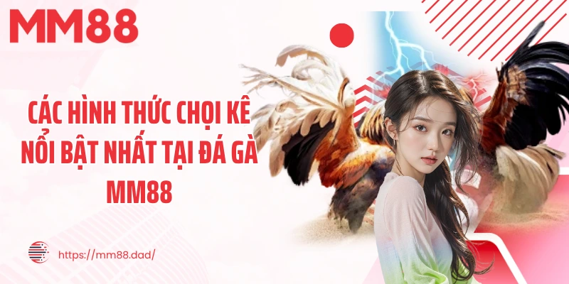 Các hình thức chọi kê nổi bật nhất tại đá gà MM88