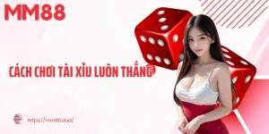 cách chơi tài xỉu luôn thắng