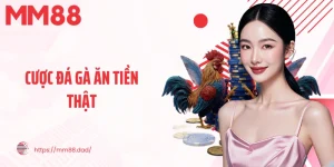 Cược Đá Gà Ăn Tiền Thật
