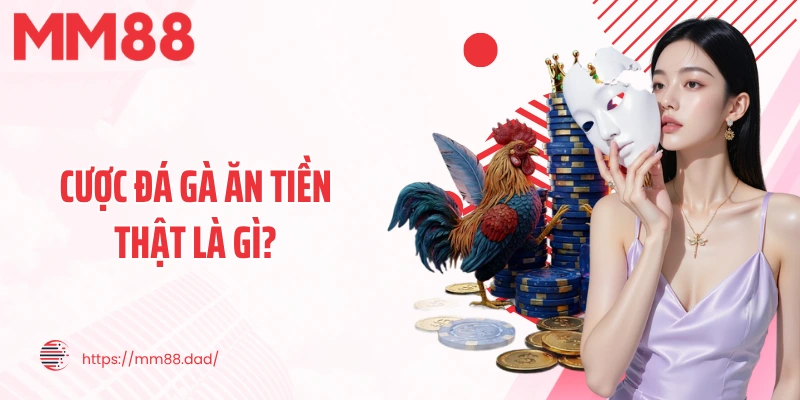 Cược đá gà ăn tiền thật là gì?
