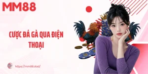 Cược Đá Gà Qua Điện Thoại