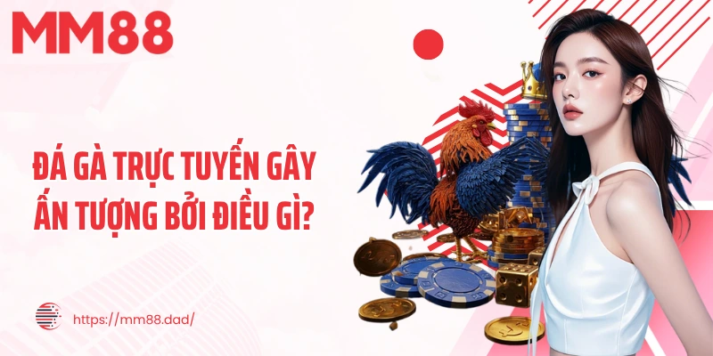 Đá gà trực tuyến gây ấn tượng bởi điều gì?