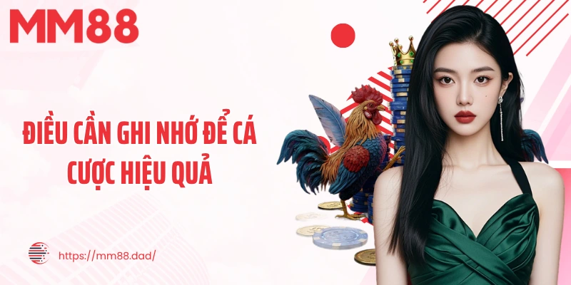 Điều cần ghi nhớ để cá cược hiệu quả