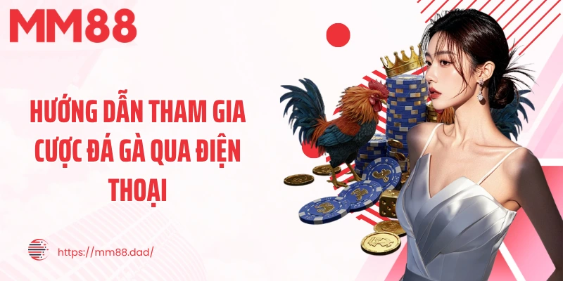 Hướng dẫn tham gia cược đá gà qua điện thoại