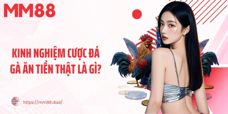 Kinh nghiệm cược đá gà ăn tiền thật là gì?