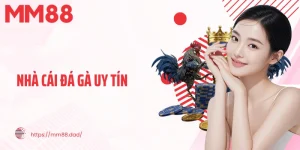 nhà cái đá gà uy tín