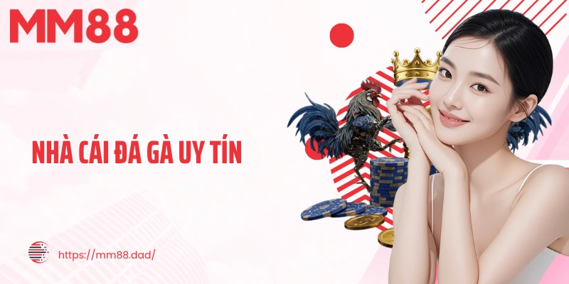nhà cái đá gà uy tín