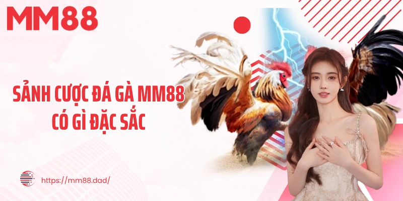 Sảnh cược đá gà MM88 có gì đặc sắc