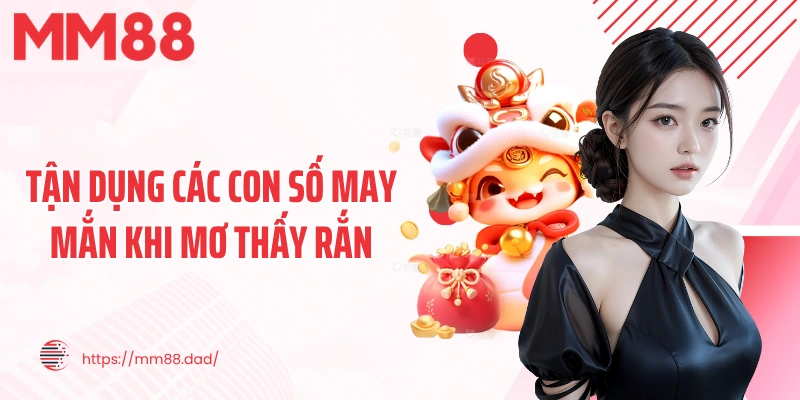 Tận dụng các con số may mắn khi mơ thấy rắn