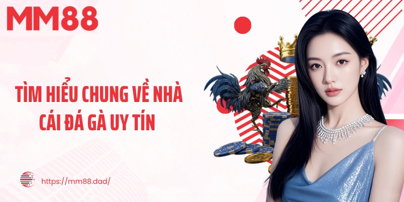 Tìm hiểu chung về nhà cái đá gà uy tín 