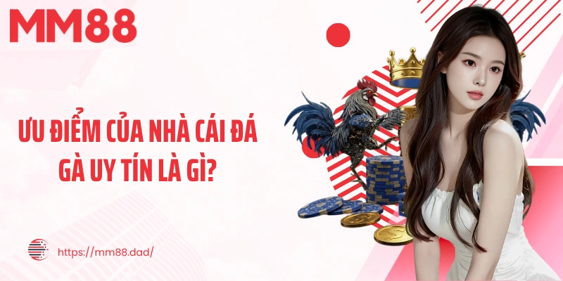 Ưu điểm của nhà cái đá gà uy tín là gì?